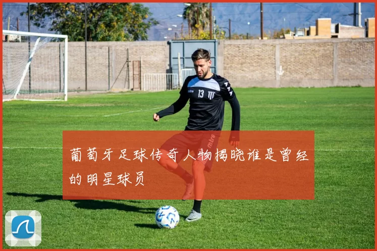 葡萄牙足球传奇人物揭晓谁是曾经的明星球员