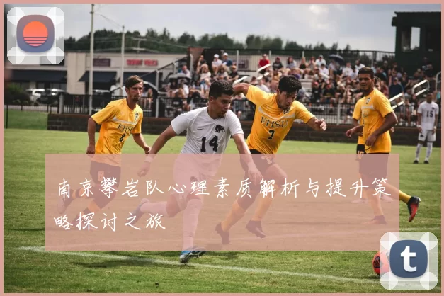 南京攀岩队心理素质解析与提升策略探讨之旅
