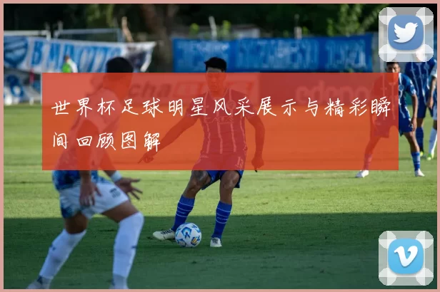 世界杯足球明星风采展示与精彩瞬间回顾图解