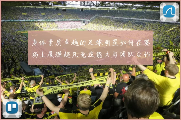 身体素质卓越的足球明星如何在赛场上展现超凡竞技能力与团队合作精神