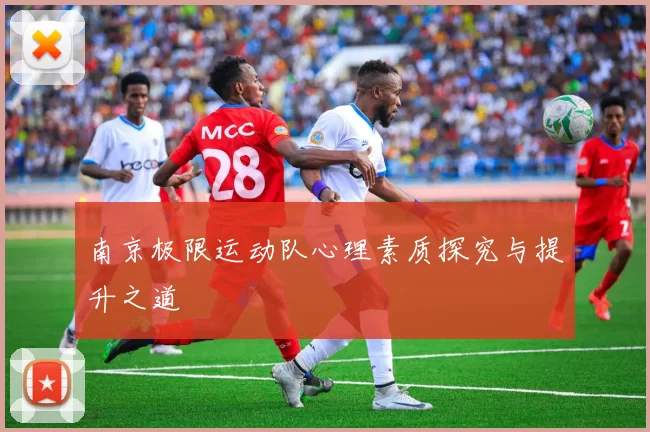 南京极限运动队心理素质探究与提升之道