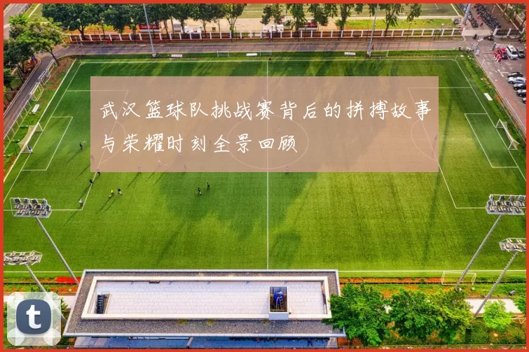 武汉篮球队挑战赛背后的拼搏故事与荣耀时刻全景回顾