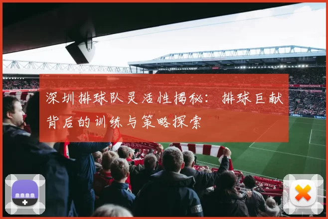 深圳排球队灵活性揭秘：排球巨献背后的训练与策略探索
