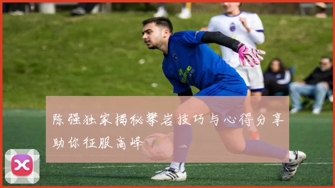 陈强独家揭秘攀岩技巧与心得分享助你征服高峰