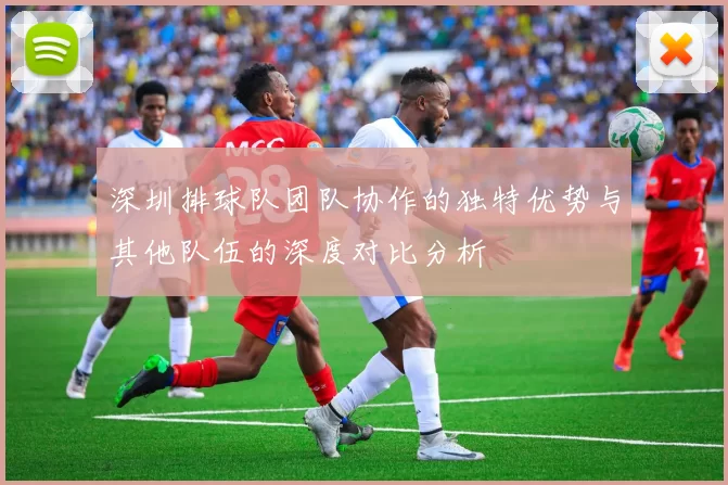 深圳排球队团队协作的独特优势与其他队伍的深度对比分析