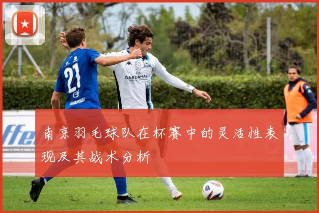 南京羽毛球队在杯赛中的灵活性表现及其战术分析