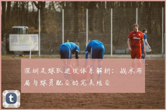 深圳足球队进攻体系解析：战术布局与球员配合的完美结合