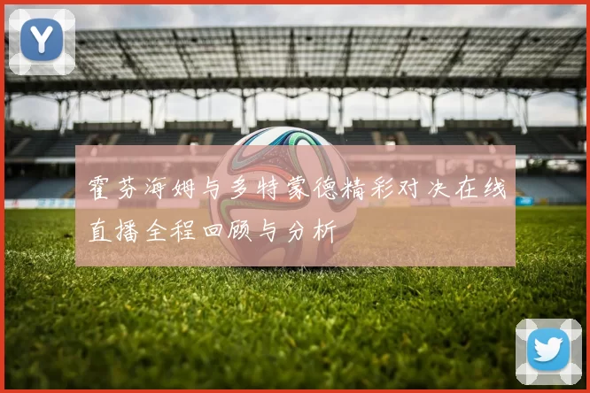 霍芬海姆与多特蒙德精彩对决在线直播全程回顾与分析
