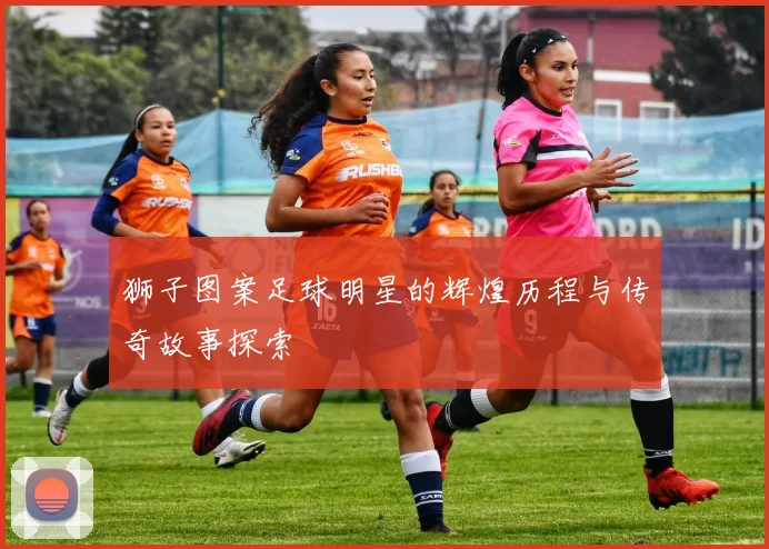 狮子图案足球明星的辉煌历程与传奇故事探索
