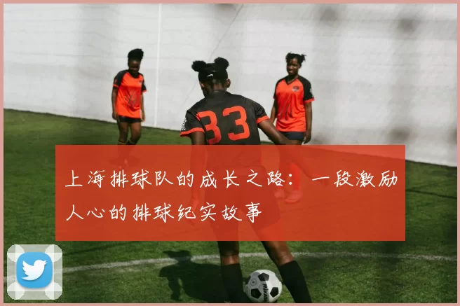 上海排球队的成长之路：一段激励人心的排球纪实故事