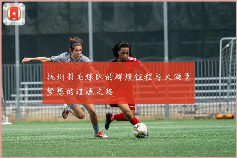 杭州羽毛球队的辉煌征程与大满贯梦想的追逐之路