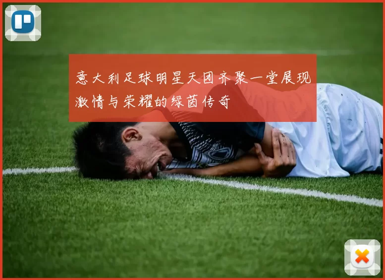 意大利足球明星天团齐聚一堂展现激情与荣耀的绿茵传奇