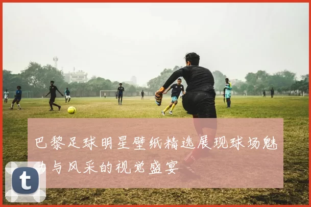 巴黎足球明星壁纸精选展现球场魅力与风采的视觉盛宴