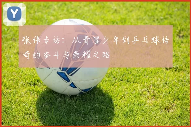 张伟专访：从青涩少年到乒乓球传奇的奋斗与荣耀之路