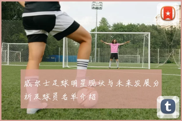 威尔士足球明星现状与未来发展分析及球员名单介绍