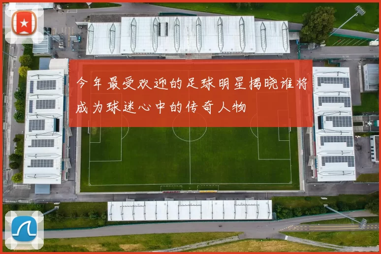 今年最受欢迎的足球明星揭晓谁将成为球迷心中的传奇人物