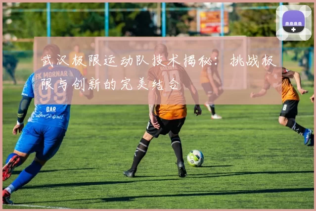 武汉极限运动队技术揭秘：挑战极限与创新的完美结合