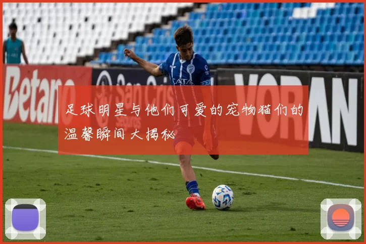 足球明星与他们可爱的宠物猫们的温馨瞬间大揭秘