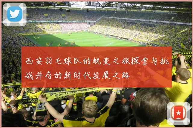 西安羽毛球队的蜕变之旅探索与挑战并存的新时代发展之路