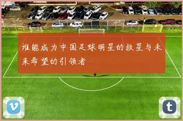 谁能成为中国足球明星的救星与未来希望的引领者