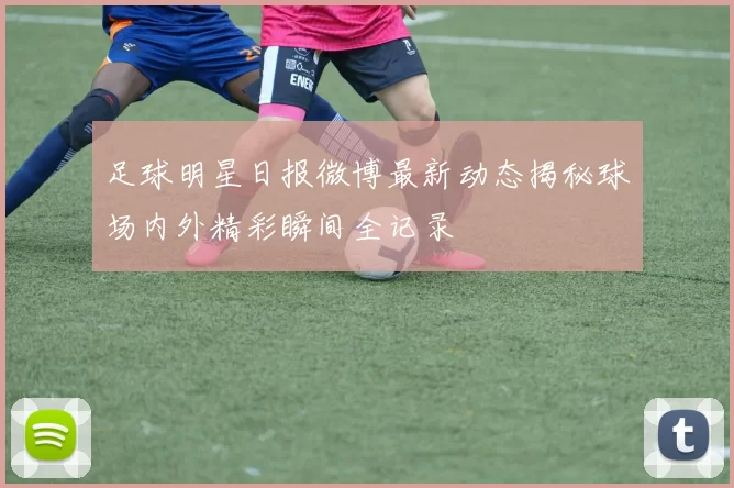 足球明星日报微博最新动态揭秘球场内外精彩瞬间全记录