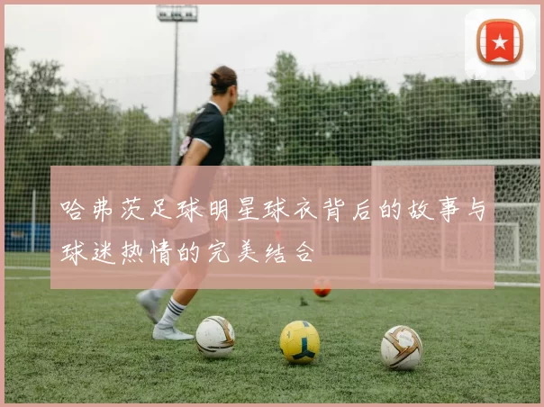 哈弗茨足球明星球衣背后的故事与球迷热情的完美结合