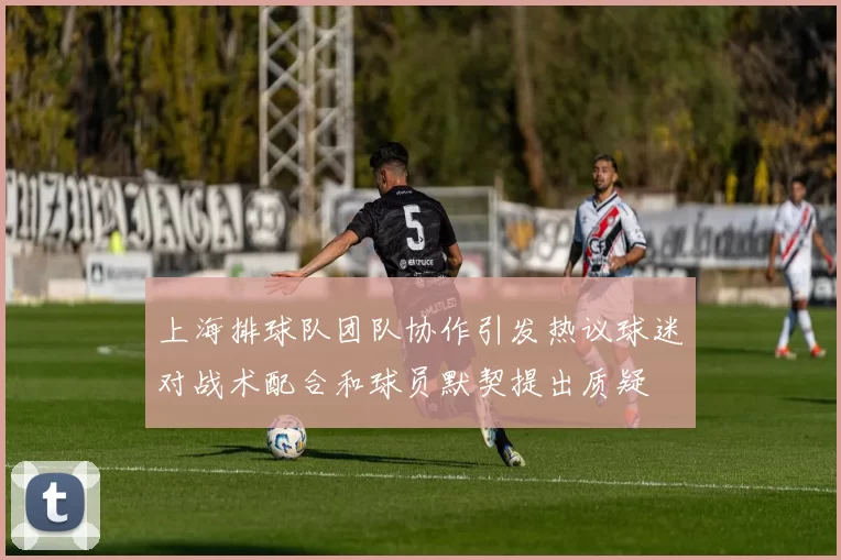 上海排球队团队协作引发热议球迷对战术配合和球员默契提出质疑