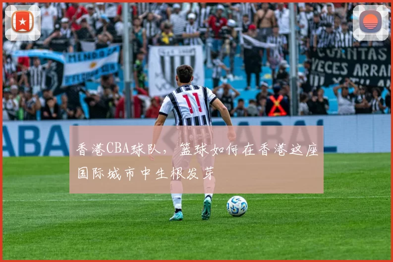 香港CBA球队，篮球如何在香港这座国际城市中生根发芽