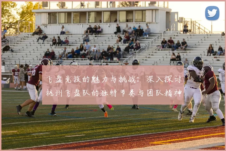 飞盘竞技的魅力与挑战：深入探讨杭州飞盘队的独特节奏与团队精神